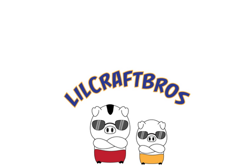 LilCraftBros